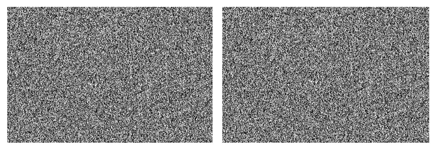 Two images look like random dot fields